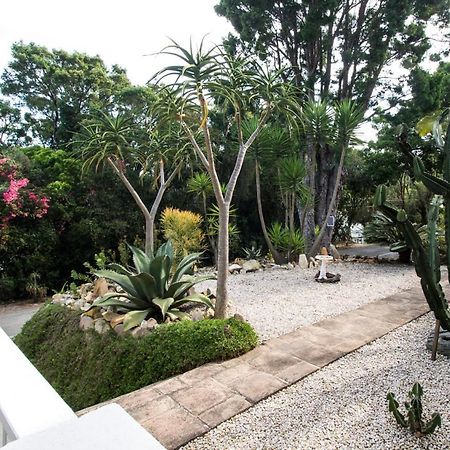 South Villa Guesthouse&Garden Knysna Exterior foto