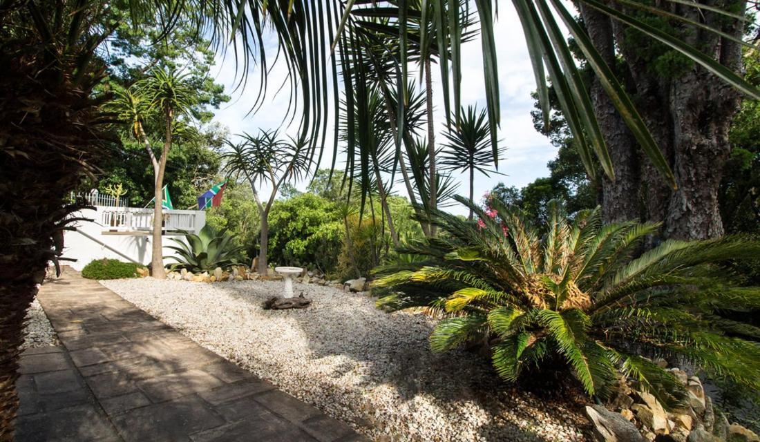 South Villa Guesthouse&Garden Knysna Exterior foto